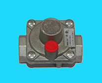 Gas Pressure Regulator